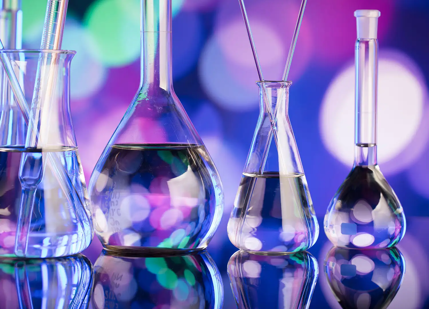 Business directory preview